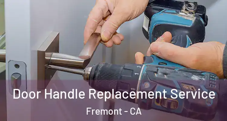  Door Handle Replacement Service Fremont - CA