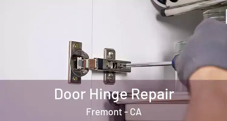  Door Hinge Repair Fremont - CA