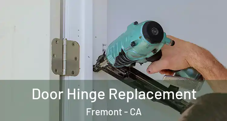  Door Hinge Replacement Fremont - CA