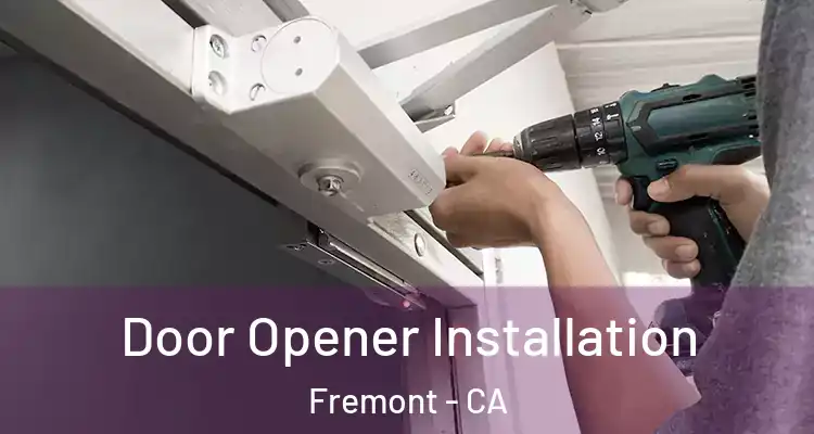  Door Opener Installation Fremont - CA