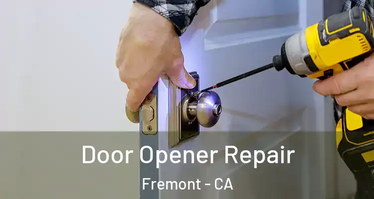  Door Opener Repair Fremont - CA