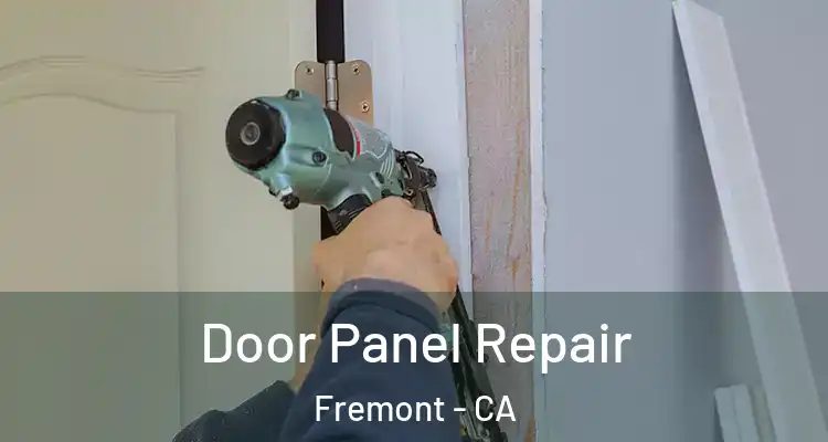  Door Panel Repair Fremont - CA