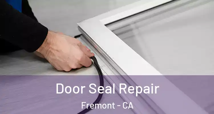  Door Seal Repair Fremont - CA