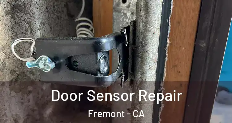  Door Sensor Repair Fremont - CA
