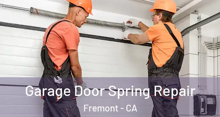  Garage Door Spring Repair Fremont - CA