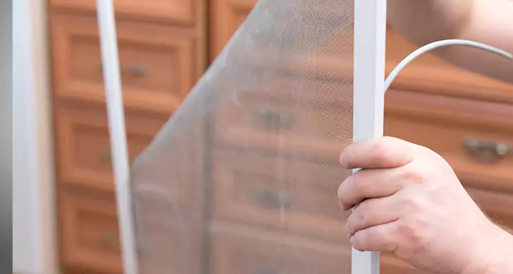 Privacy Mesh Screen Door Installation in Fremont, CA