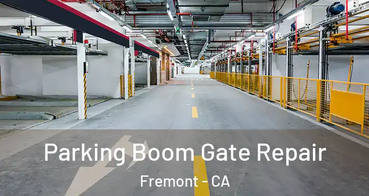  Parking Boom Gate Repair Fremont - CA