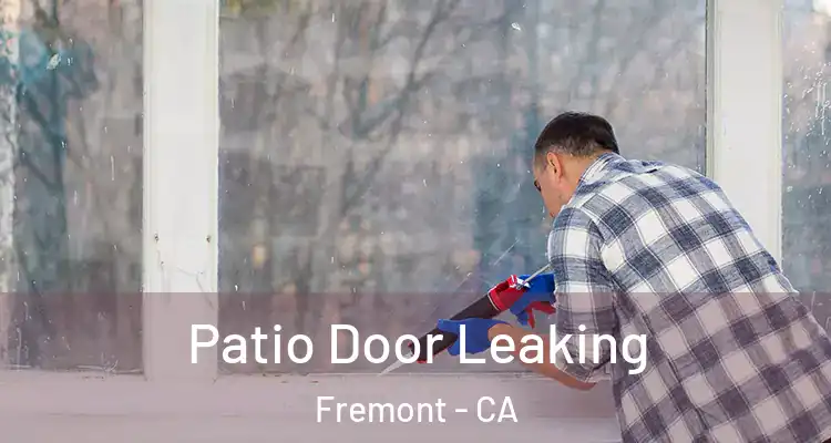  Patio Door Leaking Fremont - CA