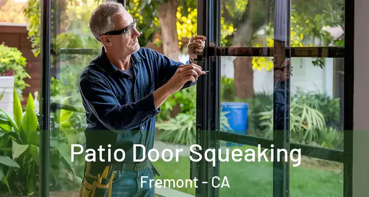  Patio Door Squeaking Fremont - CA