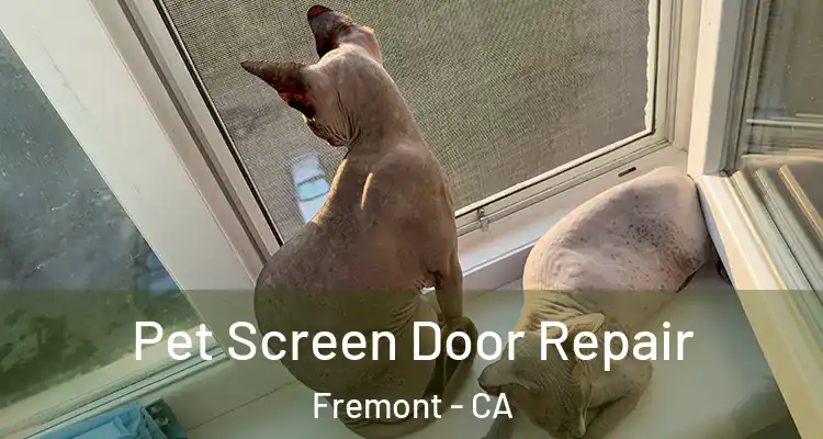  Pet Screen Door Repair Fremont - CA