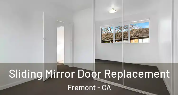  Sliding Mirror Door Replacement Fremont - CA