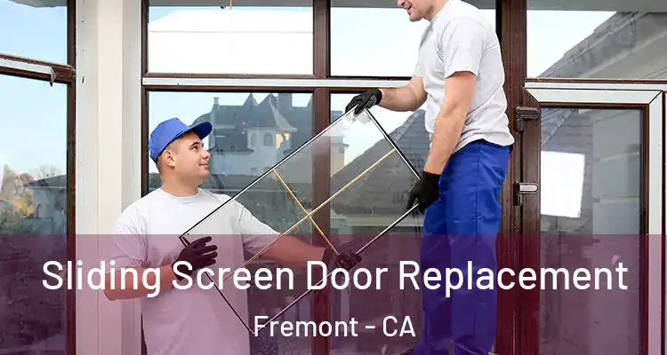  Sliding Screen Door Replacement Fremont - CA