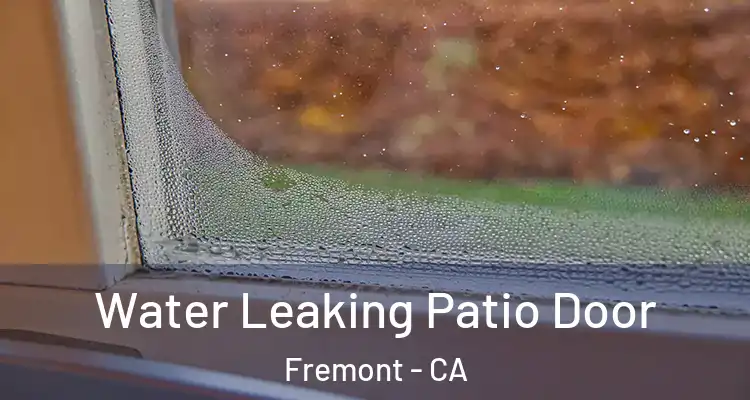  Water Leaking Patio Door Fremont - CA